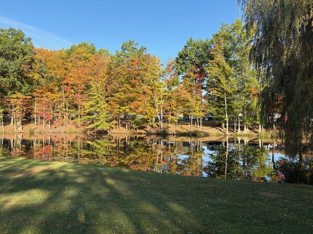 Trees with autumn foliage line the edge of a calm pond, reflecting their colors in the water. The sky is clear and blue, and the grassy foreground is dappled with sunlight and shadows.